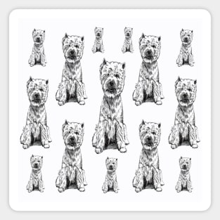 West Highland White Terrier. "Westy" Magnet